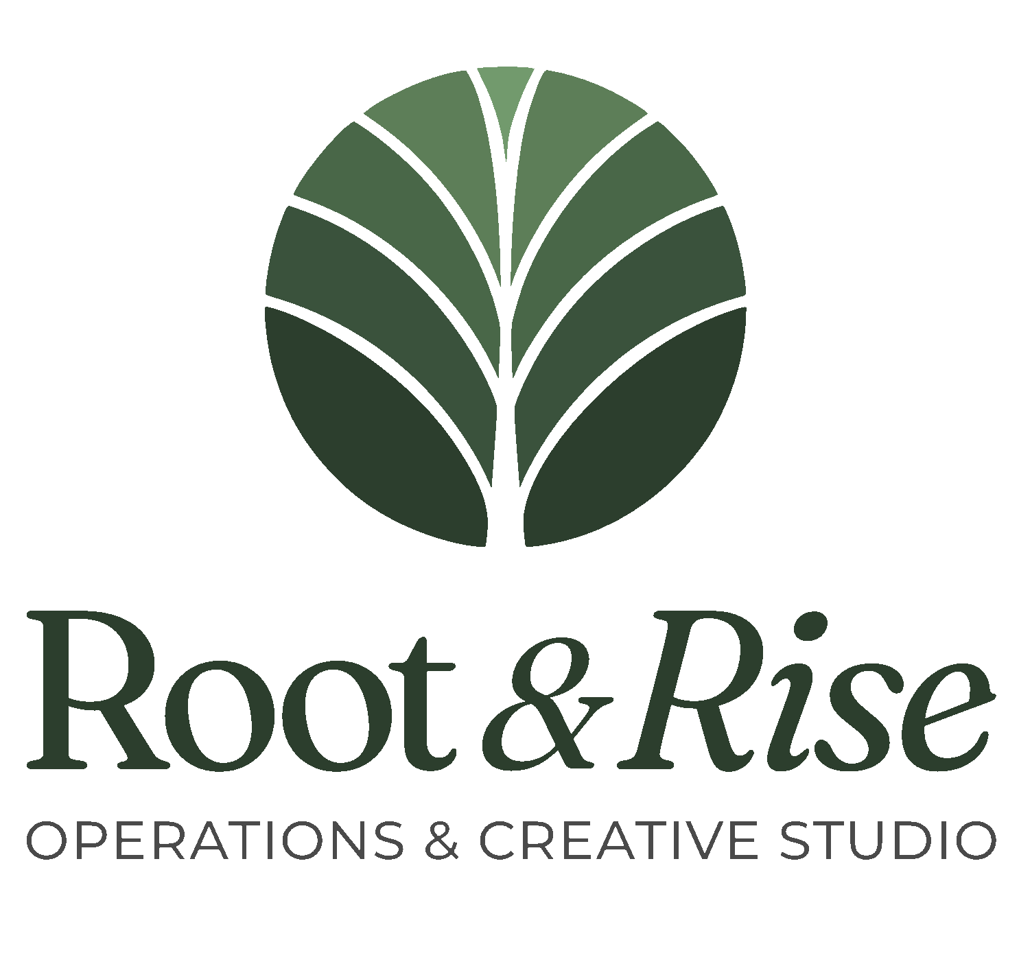 Root & Rise
